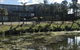 Rivers Apartments & Motel Sale Gippsland - thumb 3