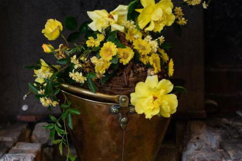 Sargeants & Armoury Cottages 1823 - Accommodation Guide 6