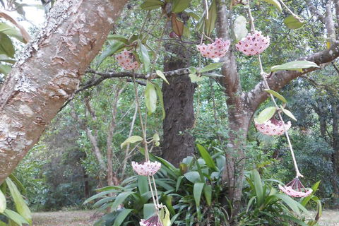Crabbes Creek Cottages - Accommodation Guide 5