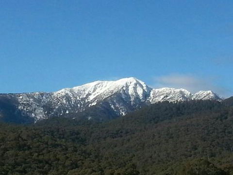Alps Lodge - Accommodation Guide 4