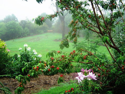 French Cottage & Loft - Accommodation Guide 4