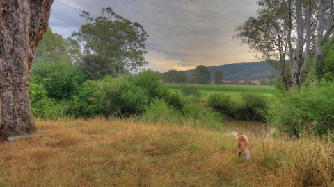Buffalo River Homestead - Accommodation Asia 3