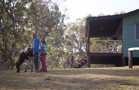 Bestbrook Mountain Resort - Accommodation Guide 4