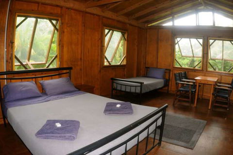 Daintree Rainforest Bungalows - Accommodation Guide 4