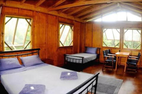 Daintree Rainforest Bungalows - Accommodation Guide 5