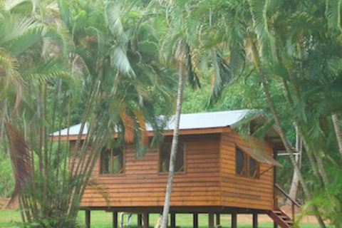 Daintree Rainforest Bungalows - Accommodation Guide 0