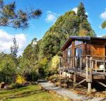 Southern Forest Accommodation - Accommodation Asia
