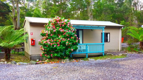 BIG4 Strahan Holiday Retreat - Accommodation Asia 6