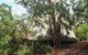 Green Leaves Cabin - thumb 1