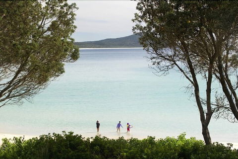 Reflections Holiday Parks Seal Rocks - Accommodation Guide 4