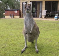Yelverton Brook Conservation Sanctuary - Accommodation Asia