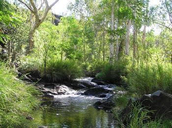 Mt Hart Homestead - Accommodation Asia 4