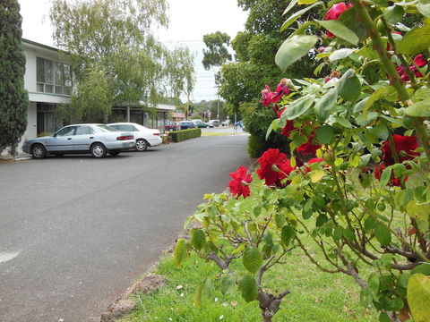 Ringwood Motel - Accommodation Asia 1