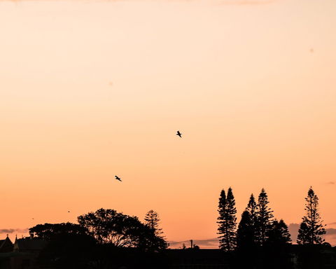 Terrigal Pacific Coastal Retreat - Accommodation Guide 5