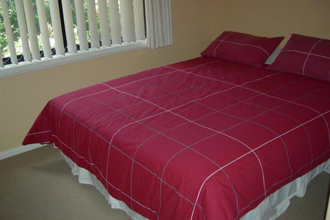 Busy Buzz B & B - Accommodation Guide 4