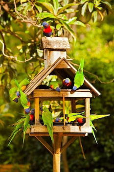 Crystal Brook Tourist Park - Accommodation Asia 0