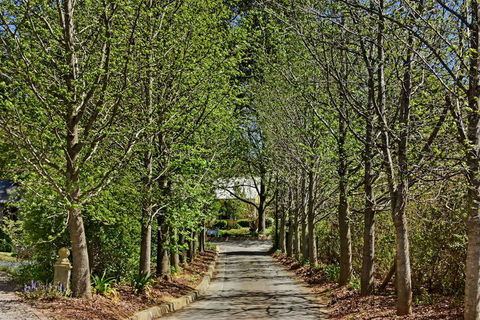 Bundanoon Lodge - Accommodation Guide 1
