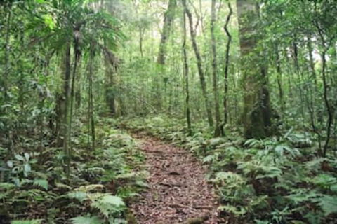 Goomburra Forest Retreat - Accommodation Guide 5