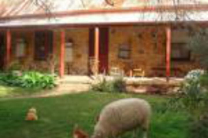 Accommodation Asia