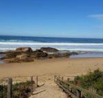 Bellbird Cottage B  B - Accommodation Guide