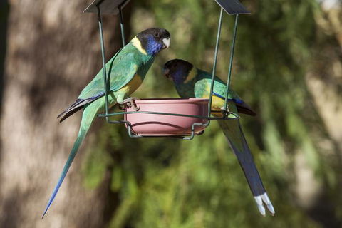 Kathys Place Bed And Breakfast - Accommodation Guide 2