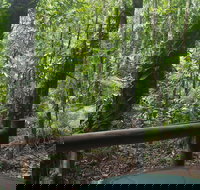 Daintree Crocodylus - Accommodation Guide