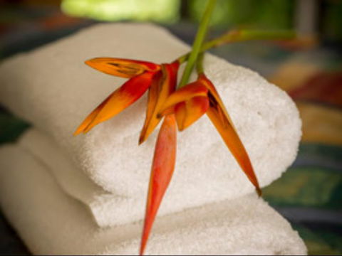 Parap Village Serviced Apartments - Accommodation China 1