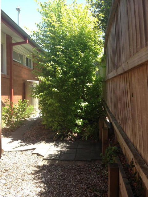 Thornleigh Garden View Comfortable & Tranquil - Accommodation Asia 7