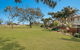 Casuarina 1 - thumb 1