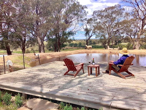 Gilgraves Vineyard Farmstay - Accommodation Guide 6