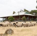 Gilgraves Vineyard Farmstay - Accommodation Asia