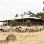 Gilgraves Vineyard Farmstay - Accommodation Guide 0
