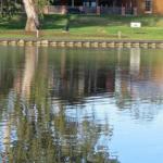 Urangeline NSW Accommodation Guide