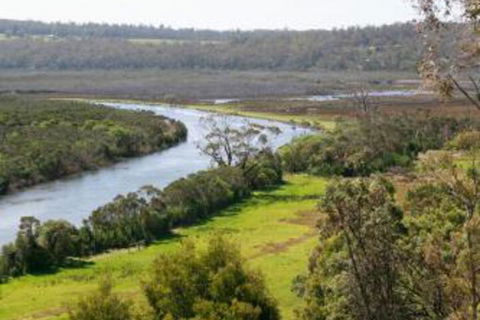 Brodribb River Rainforest Cabins Cabin 1 - Accommodation Guide 4
