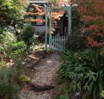Lemon Tree Cottage