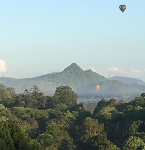 The Figs Byron - Accommodation Guide 5