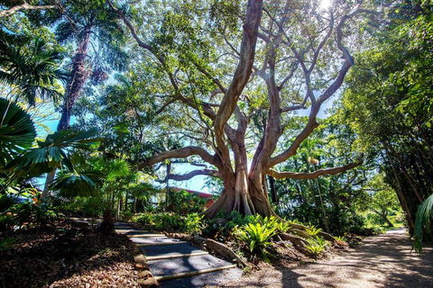 The Figs Byron - Accommodation Guide 2