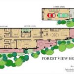 Forest View - Accommodation Asia 0