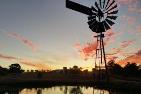 Milford Country Cottages - Accommodation Guide 3