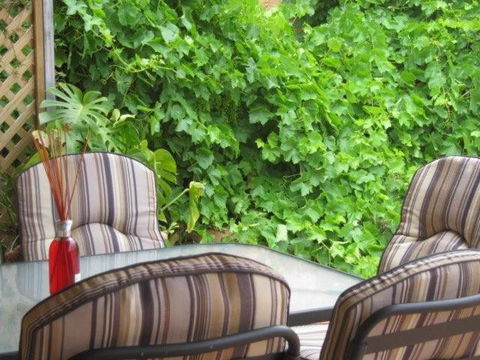 Amalie Cottage Waikerie Unit 1 - Accommodation Asia 6