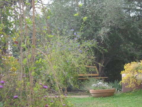 Amalie Cottage Waikerie Unit 1 - Accommodation Asia 5