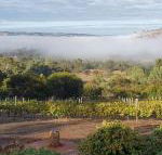 Pecan Hill BNB - Accommodation Asia