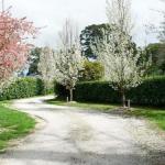 Robin Hill Manor Rambling Retreat & Tennis Court - Accommodation Guide 0