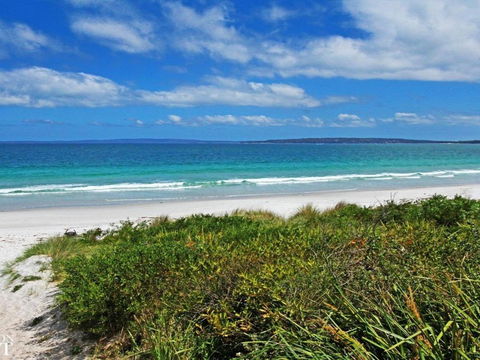 Sandcastles Very Family Friendly - Accommodation Guide 3