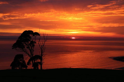 Penguin Seaside Farm - Accommodation Guide 2