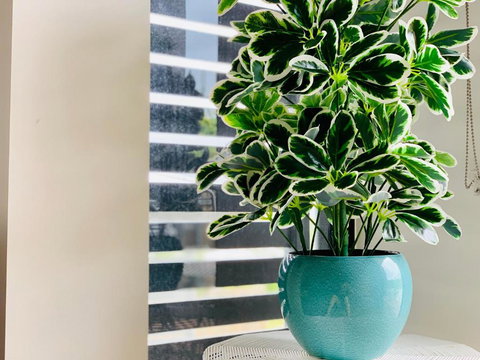 WHITSUNDAY Brand New Townhouse Close To Boardwalk - Accommodation Asia 4