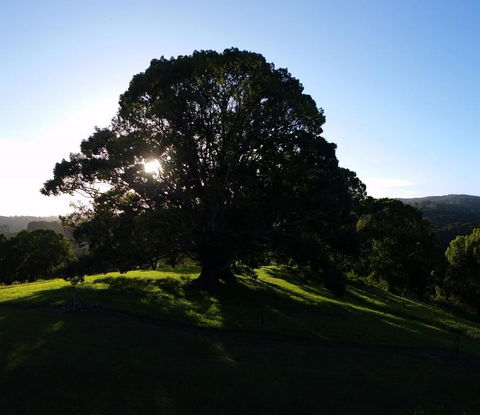 Valleydale Cottage - Accommodation Asia 1