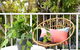 Central Mooloolaba 3 Bedroom Unit - thumb 2