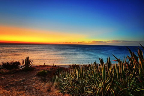 Palms On The Esplanade Sellicks Beach WiFi - Accommodation Guide 4