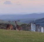 Rooks Edge - Accommodation Guide